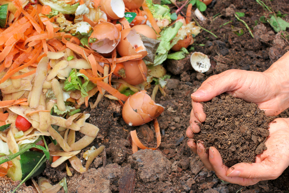 3 Benefits Of Using Compost In Your Yard And Garden