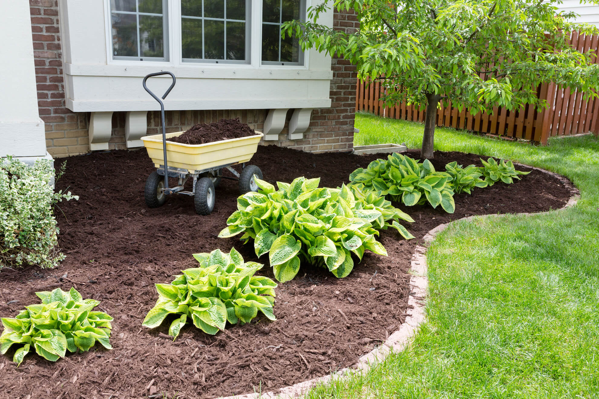 All About Mulch!